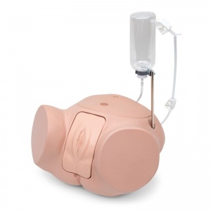 Female Catheterisation Simulator PRO - MedicalSupplies.co.uk